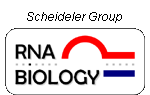 rna_biology logo