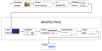 MASPECTRAS analysis pipeline